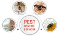 Pest Control Hobart image 1